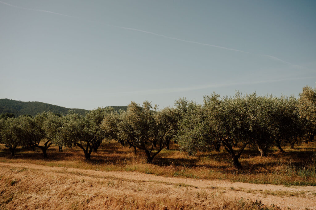 photographe-mariage-savoie